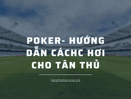 Poker là gì? Hướng dẫn cách chơi cho tân thủ